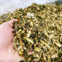 NGÔ SINH KHỐI