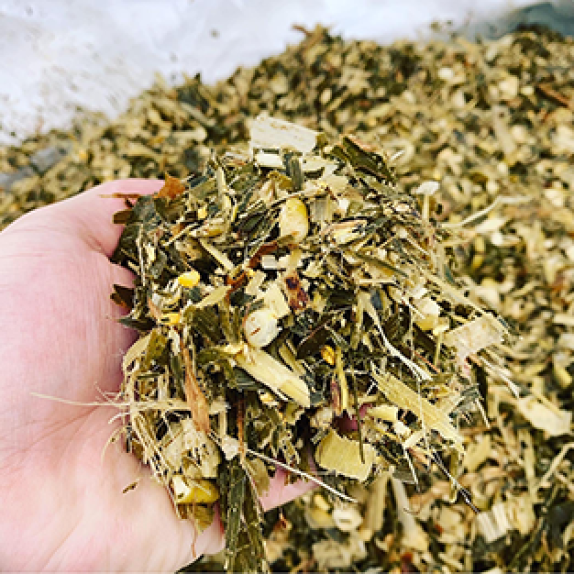 NGÔ SINH KHỐI